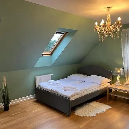 Dom Z Ogrodem W Krakowie Villa