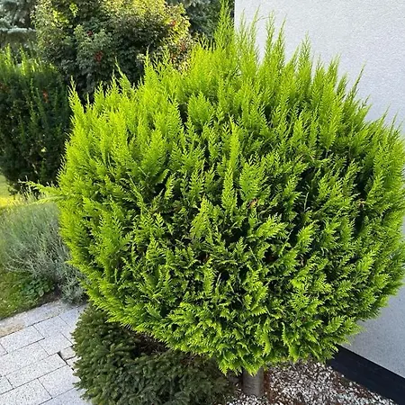 Dom Z Ogrodem W Krakowie Villa Krakkó
