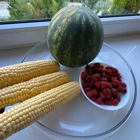 Villa Dom Z Ogrodem W Krakowie *