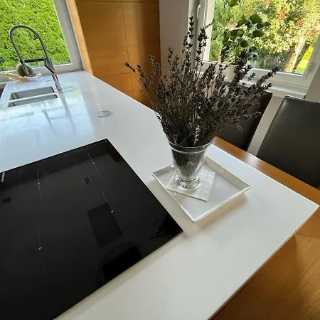 Villa Dom Z Ogrodem W Krakowie