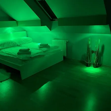 Dom Z Ogrodem W Krakowie Villa